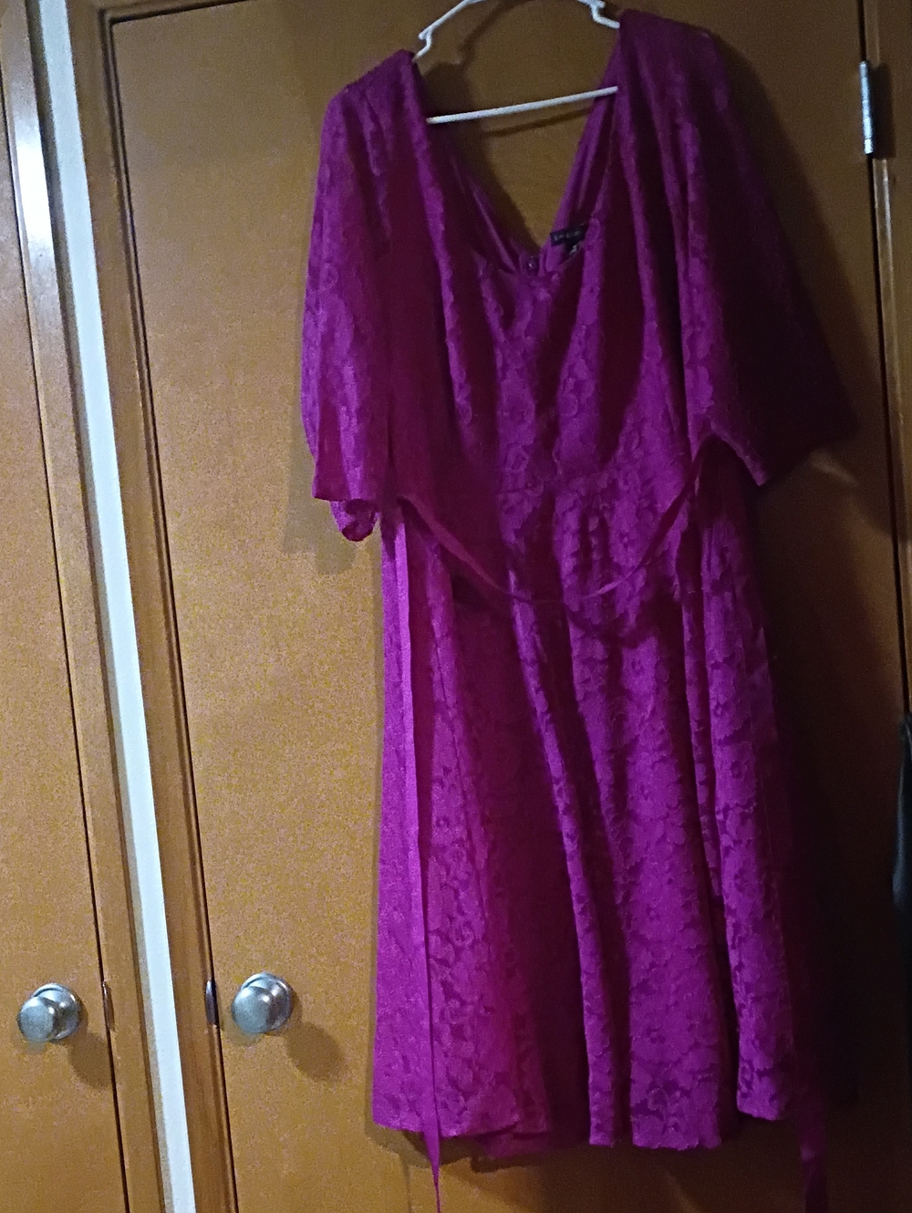 Lane Bryant Fuchsia Lace Midi Dress